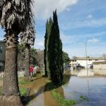 Mayfair Trailer Park