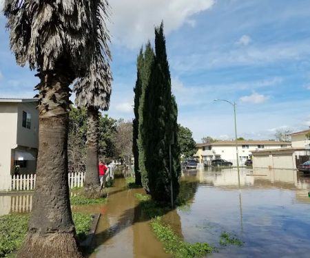 Mayfair Trailer Park