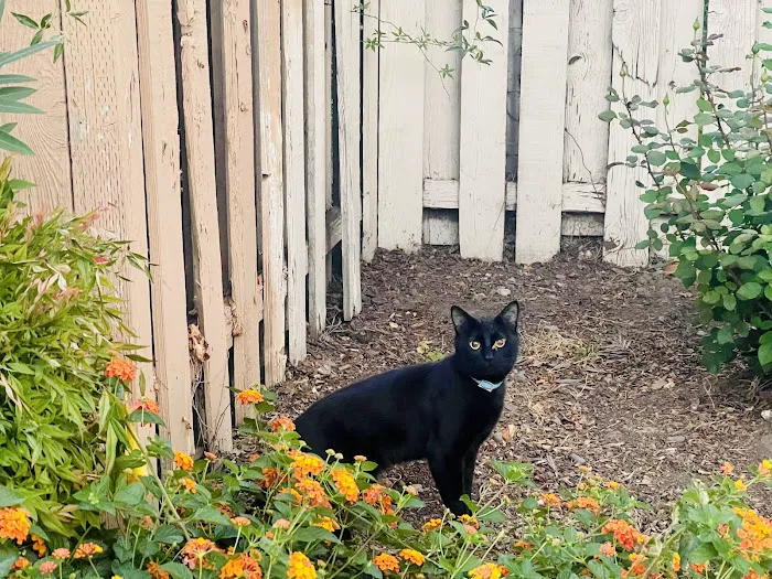 Rancho Santa Teresa Mobile Est Picture 6