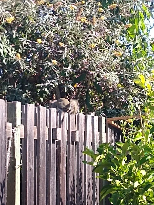 Rancho Santa Teresa Mobile Est Picture 4