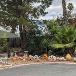 Town & Country Mobile Village