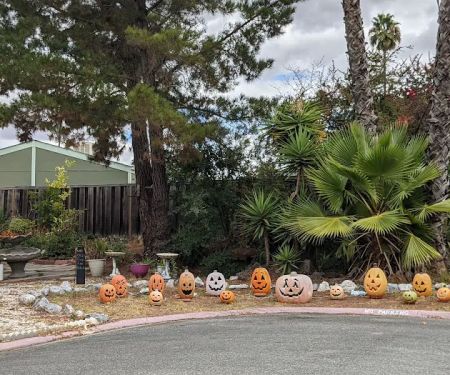 Town & Country Mobile Village