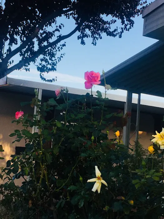 Spanish Cove Mobile Home Park Picture 4