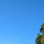 Bella Rosa Mobilodge