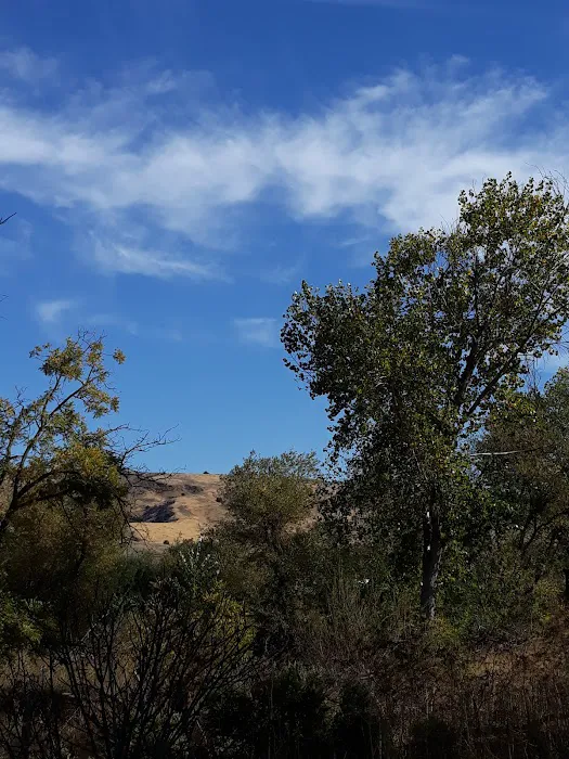 Monterey Oaks Picture 2