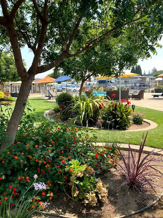 Trailer Tel Rv Park Picture 8