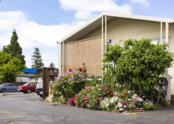 South Bay Mobile Home Park Picture 7