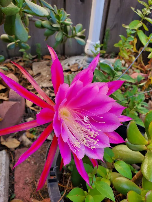 Moss Creek Picture 5