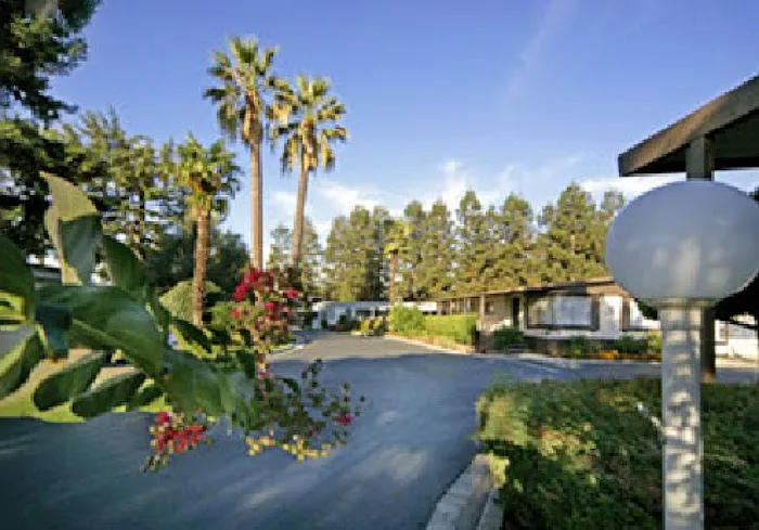 Moss Creek Picture 3