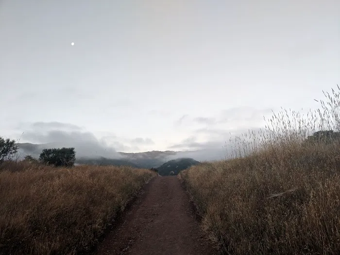 Moss Creek Picture 4