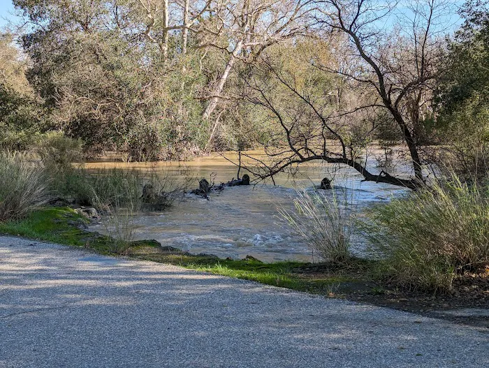 Coyote Valley RV Resort Picture 8