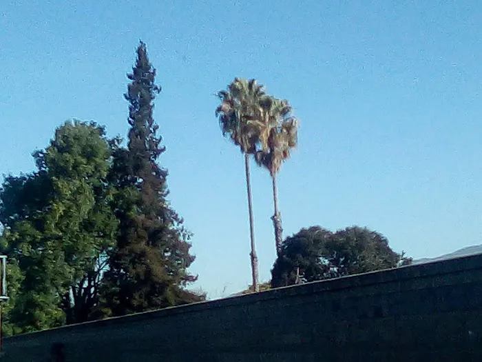 Casa del Lago Picture 8