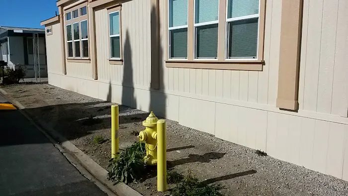Lamplighter San Jose Picture 5