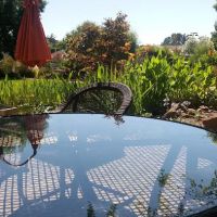 Woodlands Estates ico