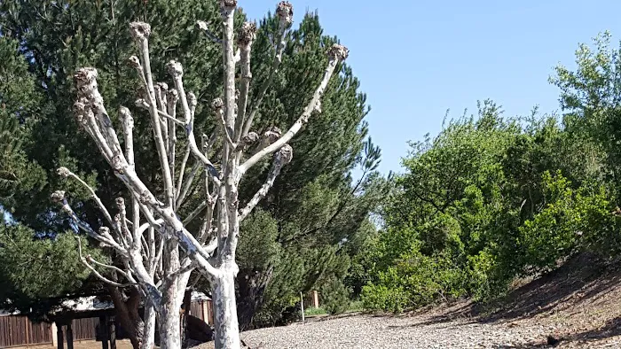 Woodlands Estates Picture 9