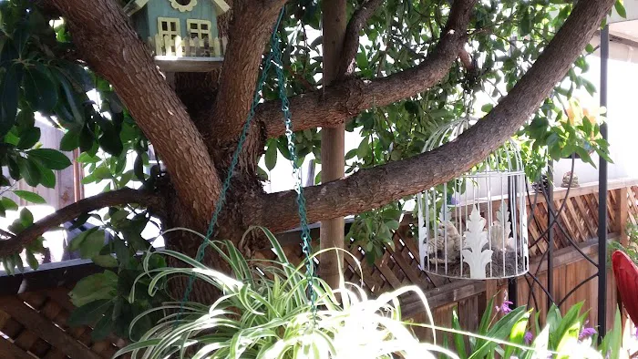 Woodlands Estates Picture 10