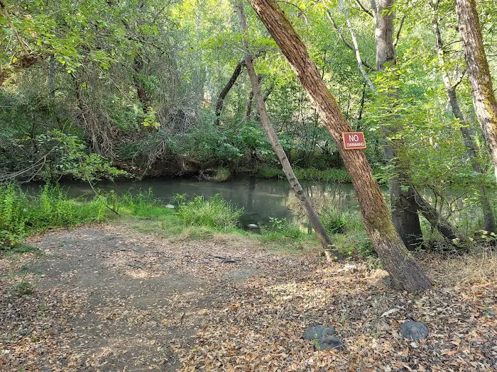 Uvas Pines RV Park Picture 2