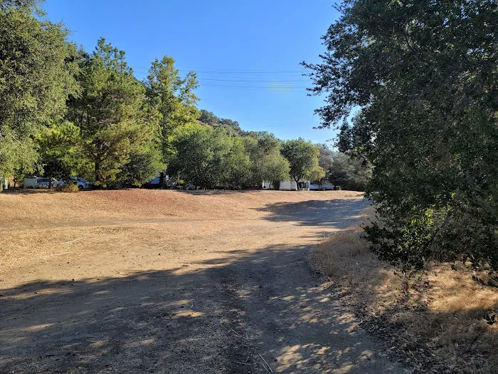 Uvas Pines RV Park Picture 4