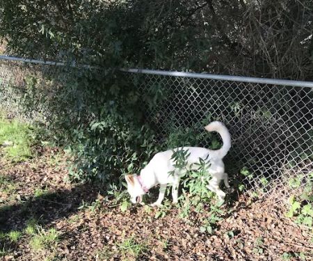 Pinto Lake Mobile Estates