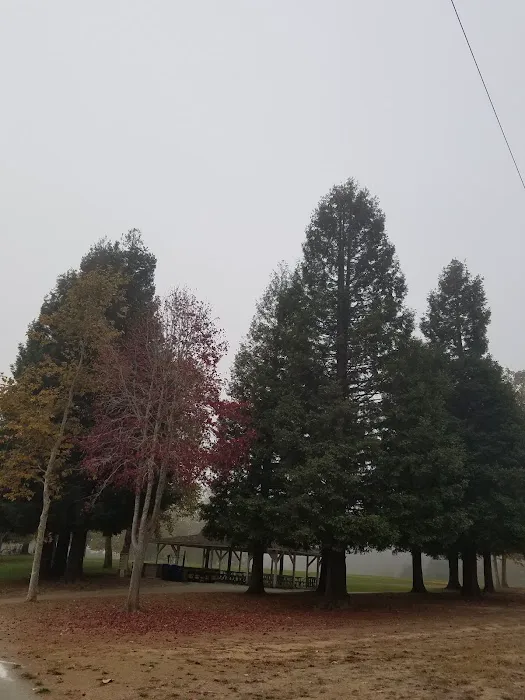 Pinto Lake Mobile Estates Picture 10