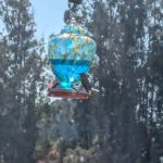 Rancho Corralitos Mobile Home