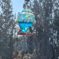 Rancho Corralitos Mobile Home ico