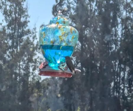 Rancho Corralitos Mobile Home