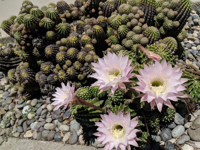 Sunset Estates Mobile Home Park Picture 6