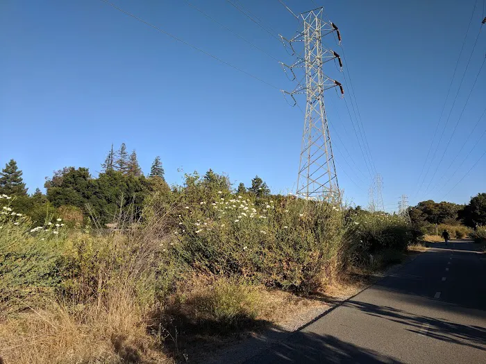 Sahara Mobile Village Picture 3