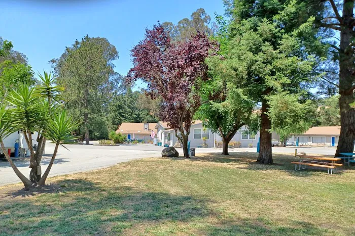 Monterey RV Park Picture 7