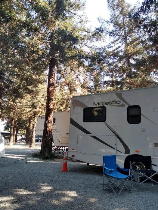 Mission Farm RV Park Picture 3