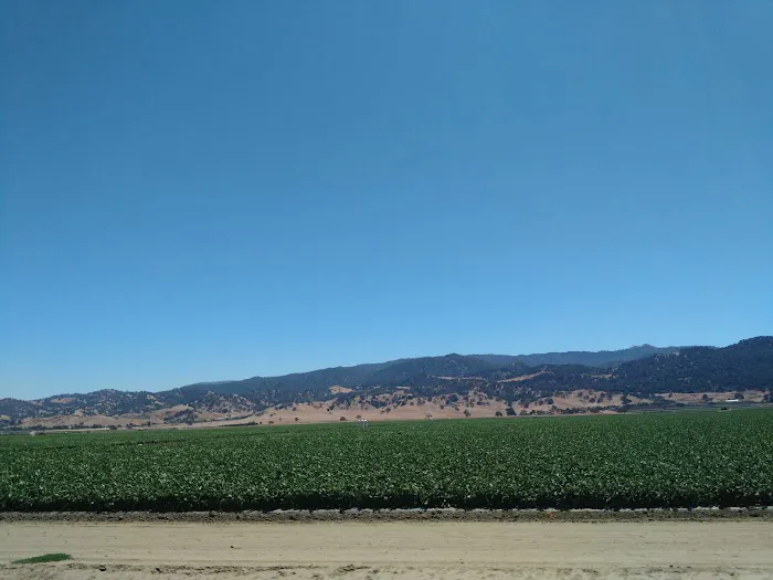 Mission Farm RV Park Picture 6