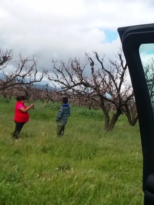 Mission Oaks Mobile Home Park Picture 4