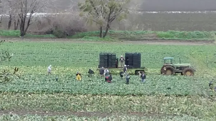 Mission Oaks Mobile Home Park Picture 6