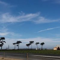 Meadows Manor Mobile Home Park ico