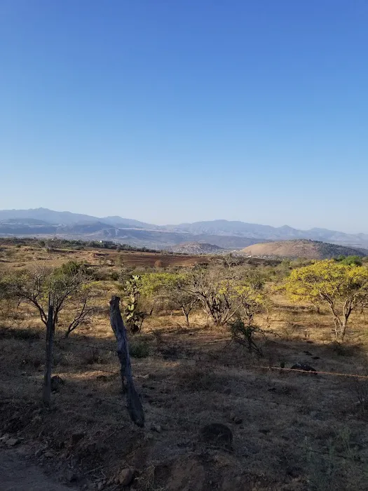 Meadows Manor Mobile Home Park Picture 2