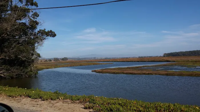 Meadows Manor Mobile Home Park Picture 4