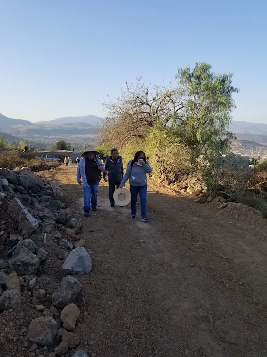 Meadows Manor Mobile Home Park Picture 7