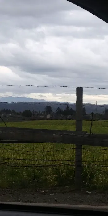 Meadows Manor Mobile Home Park Picture 9