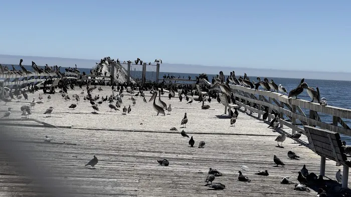 Seacliff Center RV Park Picture 5