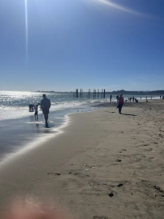 Seacliff Center RV Park Picture 8