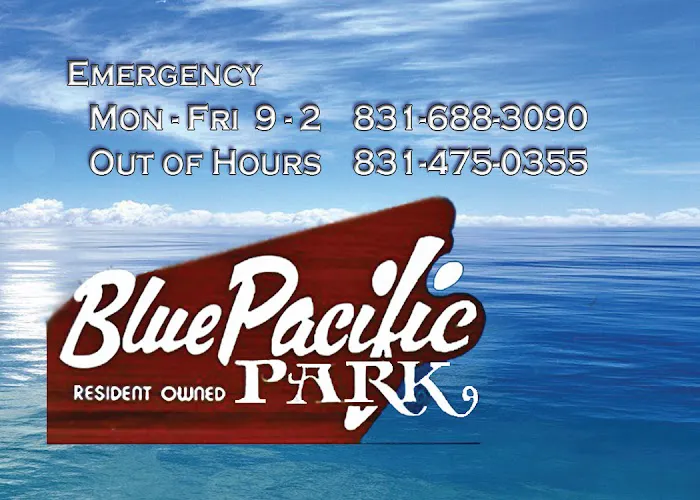 Blue Pacific Mobile Home Park Picture 3