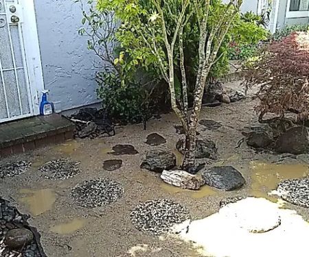 Blue Pacific Mobile Home Park