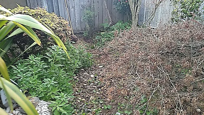 Blue Pacific Mobile Home Park Picture 5