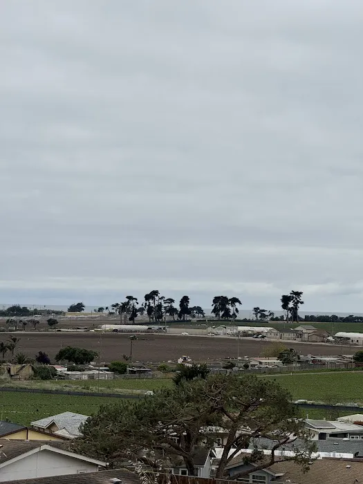 Moss Landing Park Picture 8