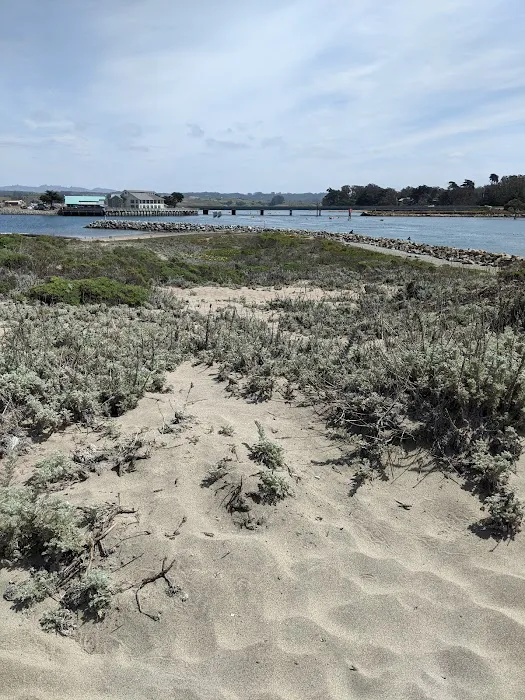 Moss Landing Park Picture 10