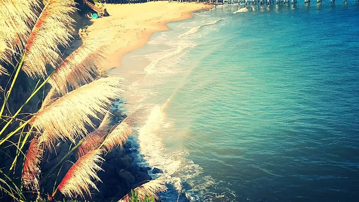 Surf & Sand Mobile Home Park Picture 9