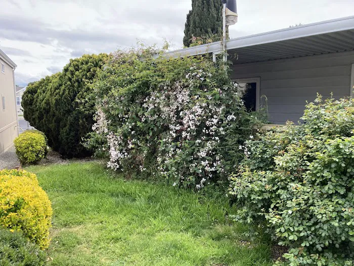 Tropics Mobile Home Park Picture 9