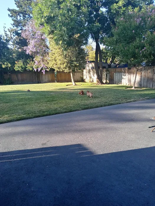 Palo Mobile Estates Picture 9