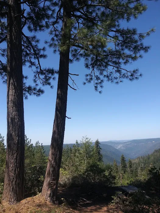 Cabana Holiday RV Park Picture 5
